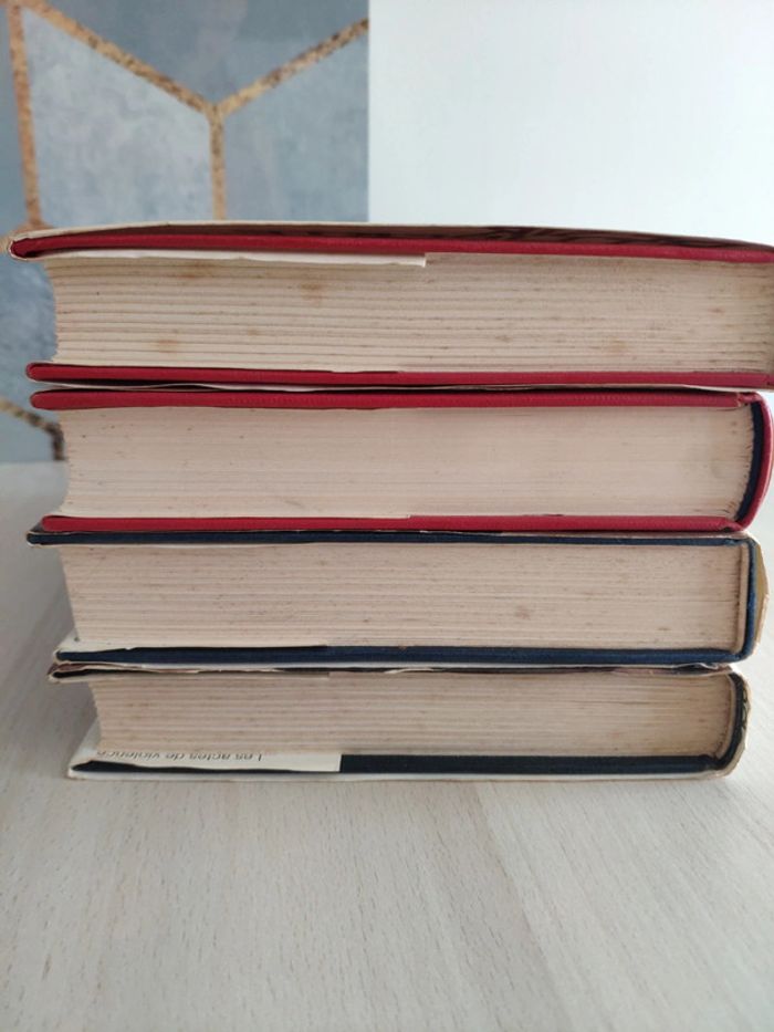 Tétralogie Robert Gaillard érotique historique chair cendre luxure volupté désir haine - photo numéro 4