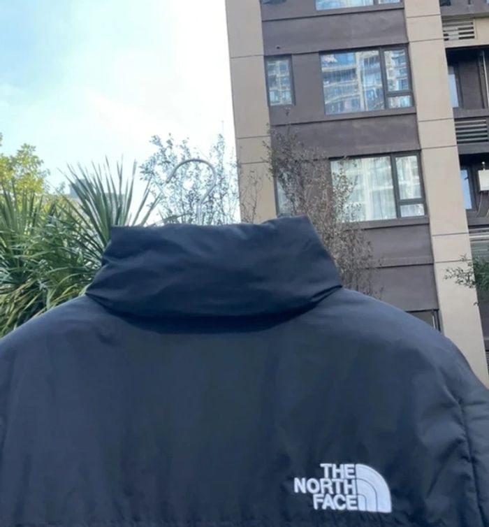 Doudoune THE NORTH FACE 700 Fill Power, unisexe, taille M - photo numéro 3