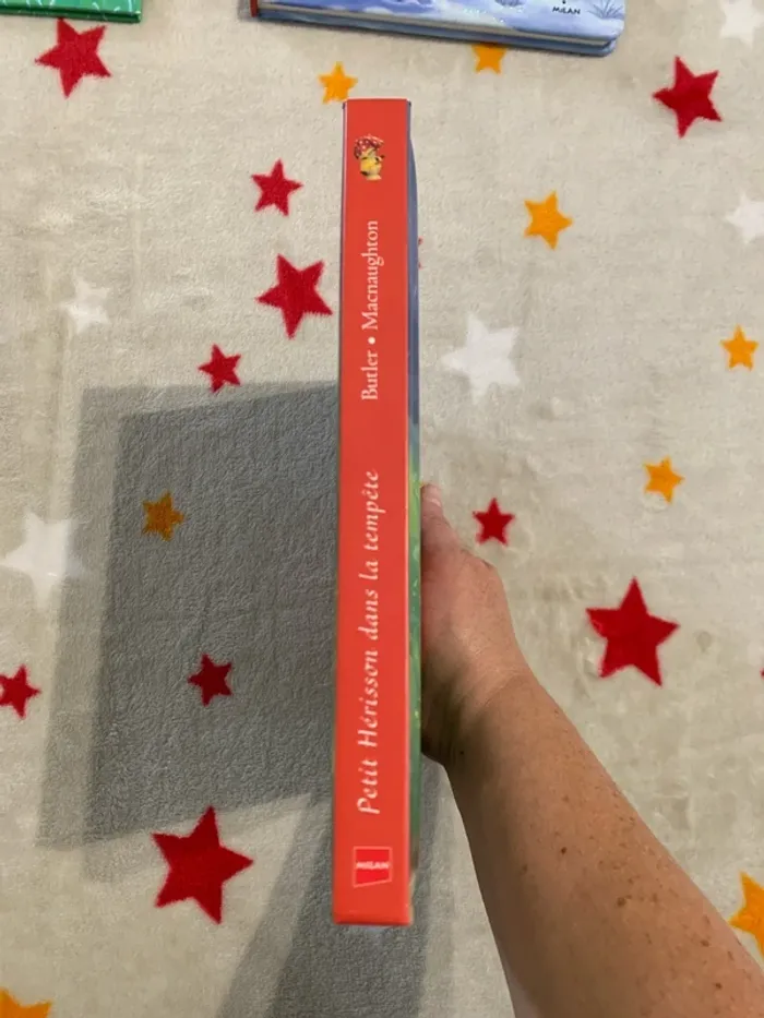 Petit Hérisson dans la Tempête – Petit format – Livre à toucher - photo numéro 2
