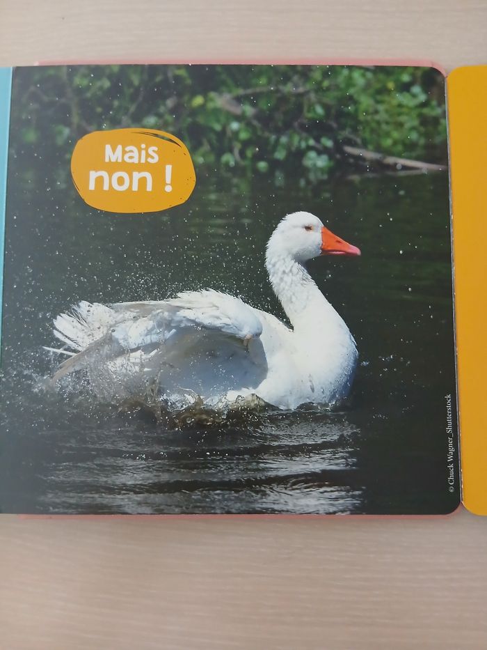 Livre enfant les animaux de la ferme tres bonne etat - photo numéro 9