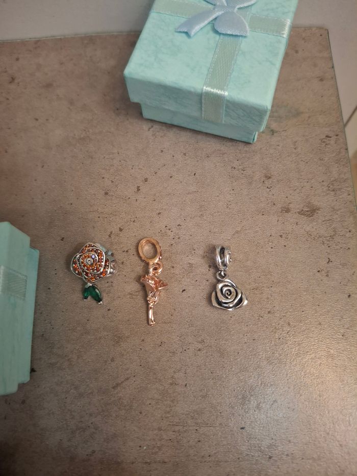 Diverses charms pour bracelet pandora - photo numéro 2