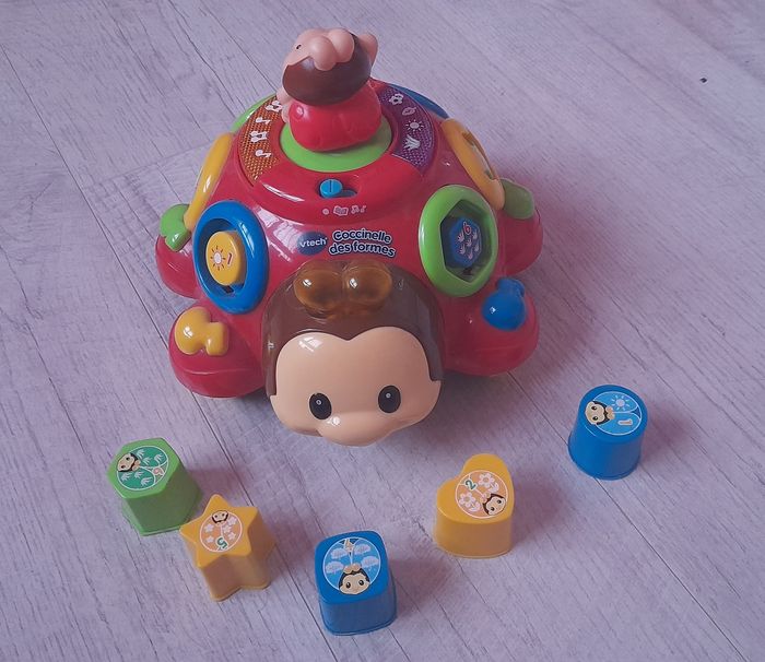 Coccinelle des formes - photo numéro 5