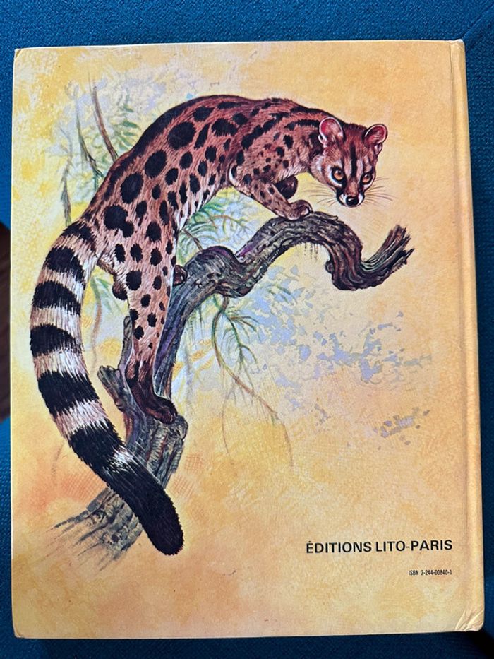 1981 Livre ancien rare Les Animaux Prédateurs Robert Dallet Lito Paris illustrateur Hermès - photo numéro 2