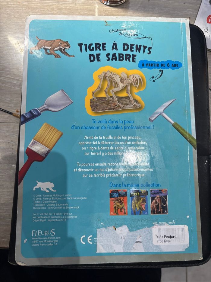 Tigre à dents de sable - photo numéro 4