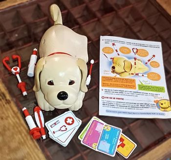 Wipsy, joue au vétérinaire avec l'adorable chien