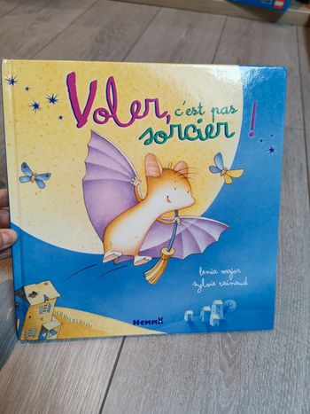Voler, c'est pa sorcier !