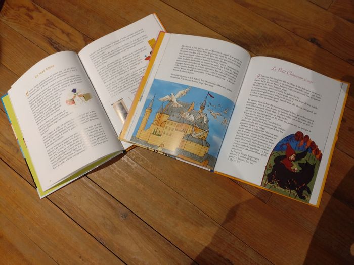 Lot de deux livres - photo numéro 3