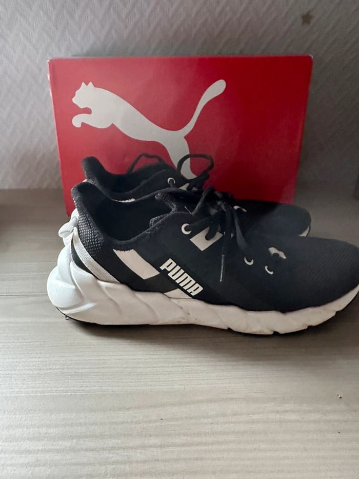 Baskette puma - photo numéro 2