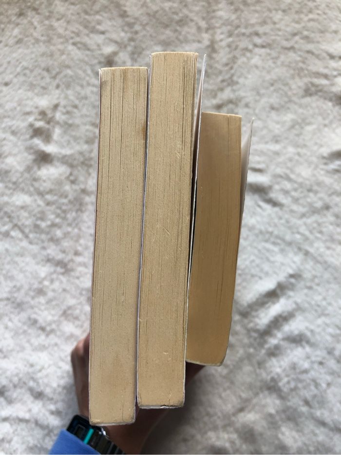 Lot 3 tomes saga Beautiful - Christina Lauren - photo numéro 6