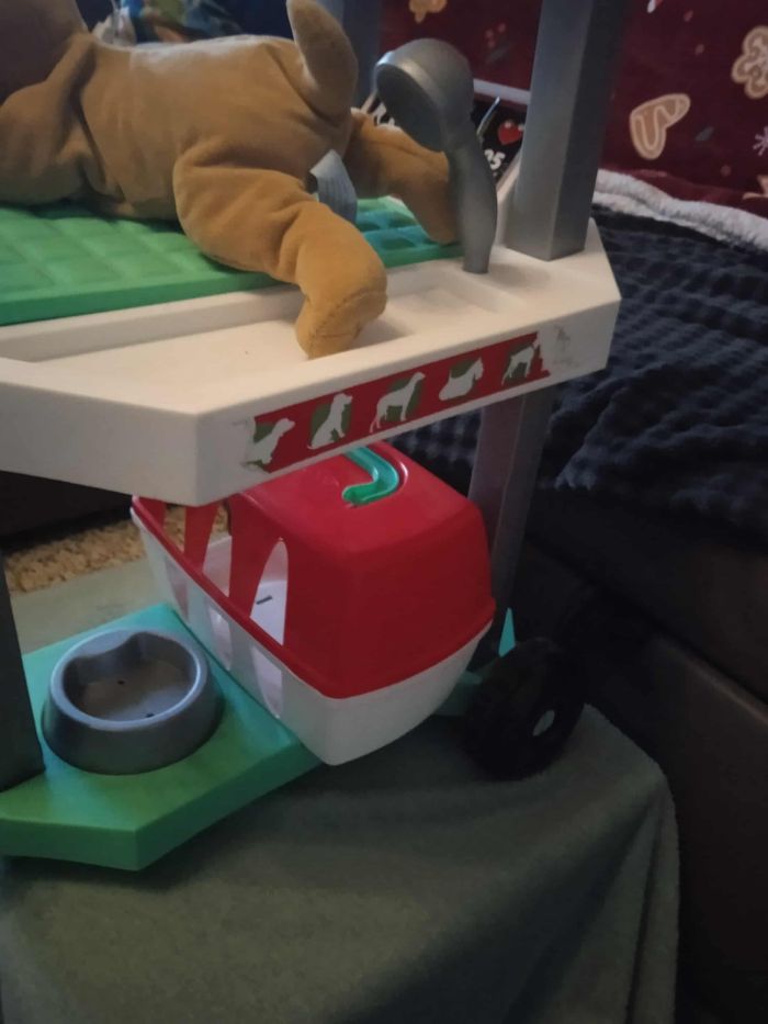 Vétérinaire avec son chien - photo numéro 5