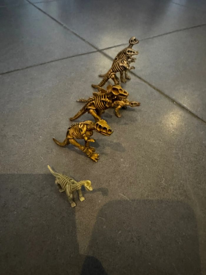 Lot de 6 squelettes de dinosaures: 1 Pachycephalosaure / - photo numéro 2