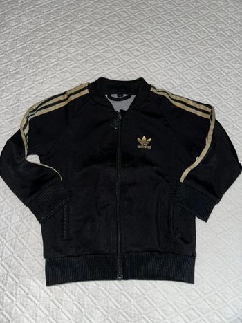 Veste adidas taille 3 ans