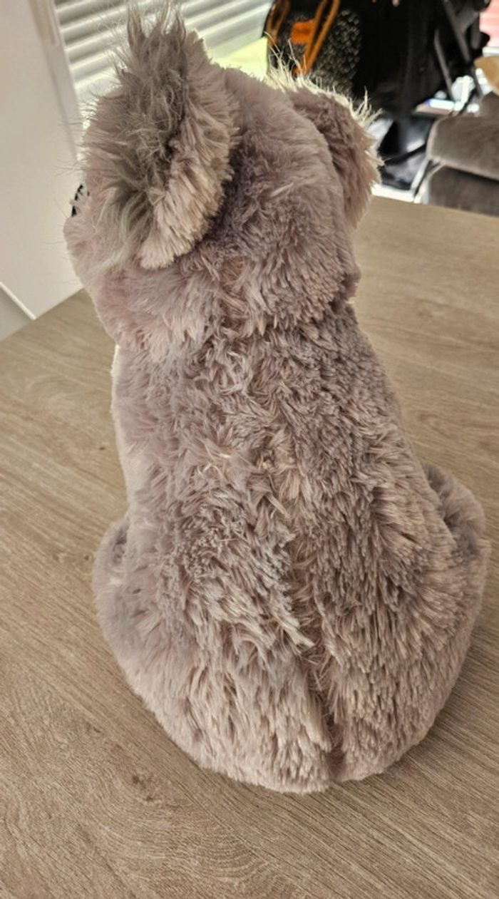 Peluche koala 🐨 - photo numéro 4