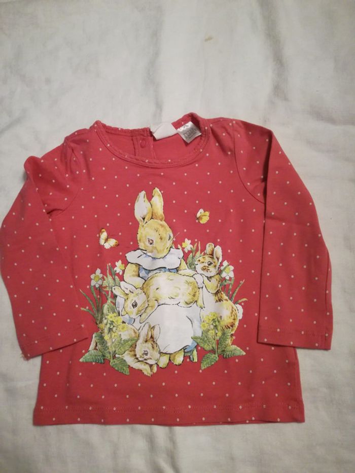 Tee shirt Peter Rabbit