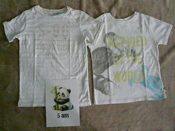 Lot de 2 tee-shirts garçon Okaidi 5 ans (n°12)