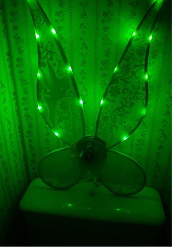 Ailes de la fée Clochette lumineuses Disney enfant