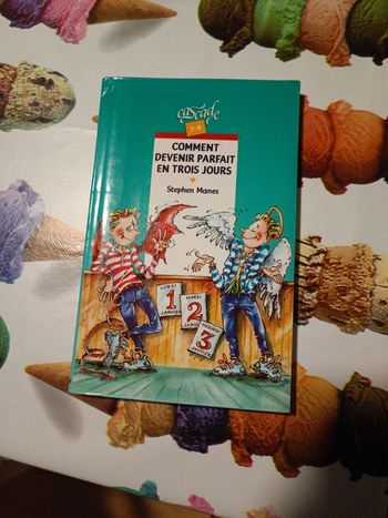 Livre comment devenir parfait en 3 jours