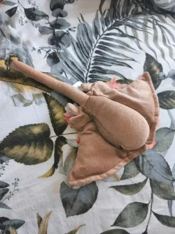 Peluche raie