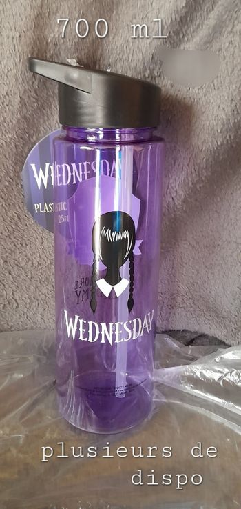 Gourde 700ml mercredi 