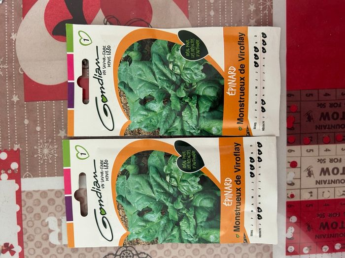 Gros lot de graines et semis légumes / salades - photo numéro 10