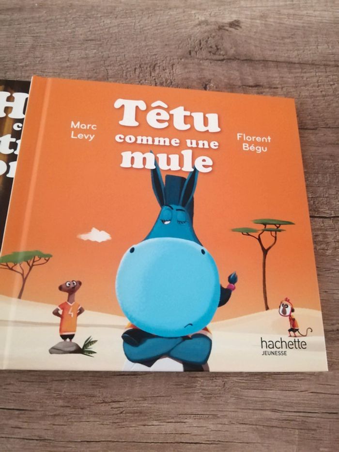 Livres Macdonald "C'est comme ça" - photo numéro 8