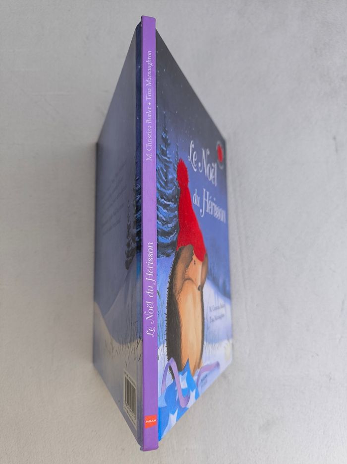 Livre Le Noël du Hérisson Milan - photo numéro 7