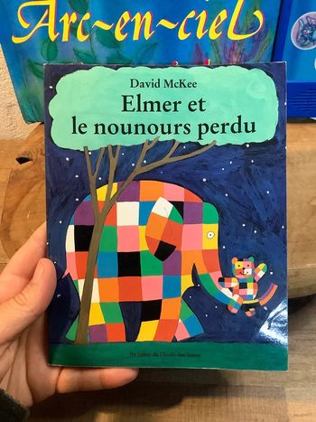 Livre Elmer et le nounours perdu