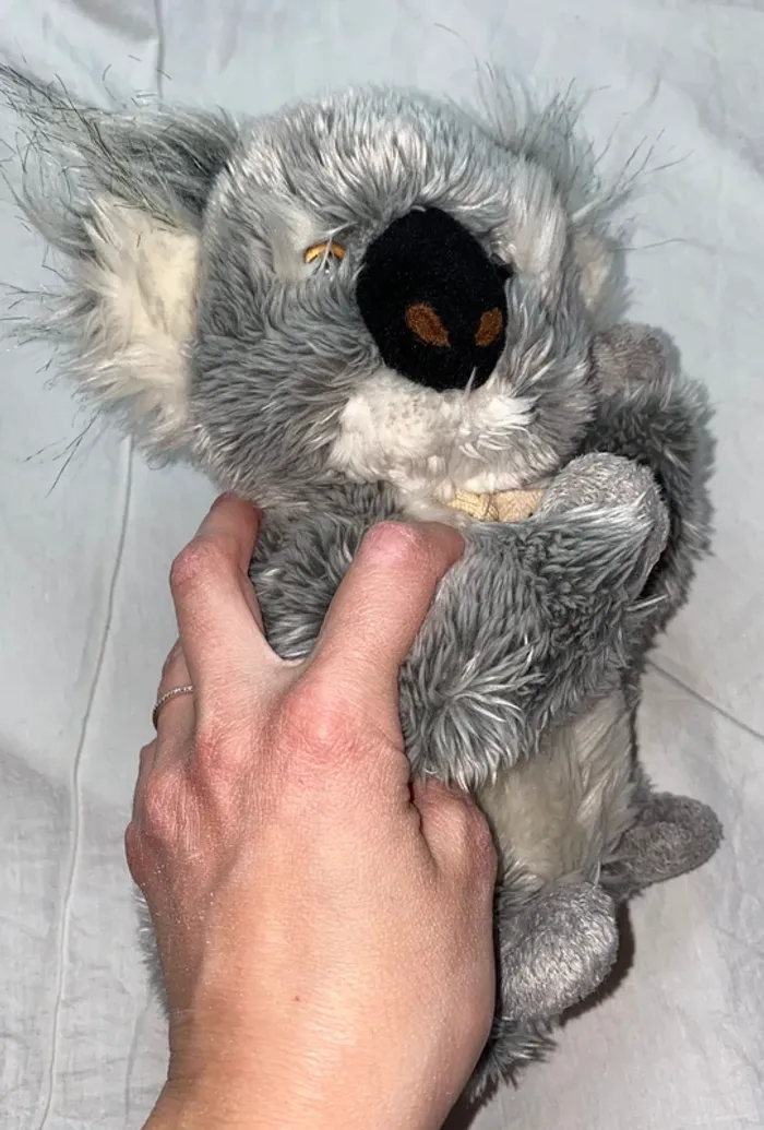 peluche Koala plush et company valeur 30 euros - photo numéro 2