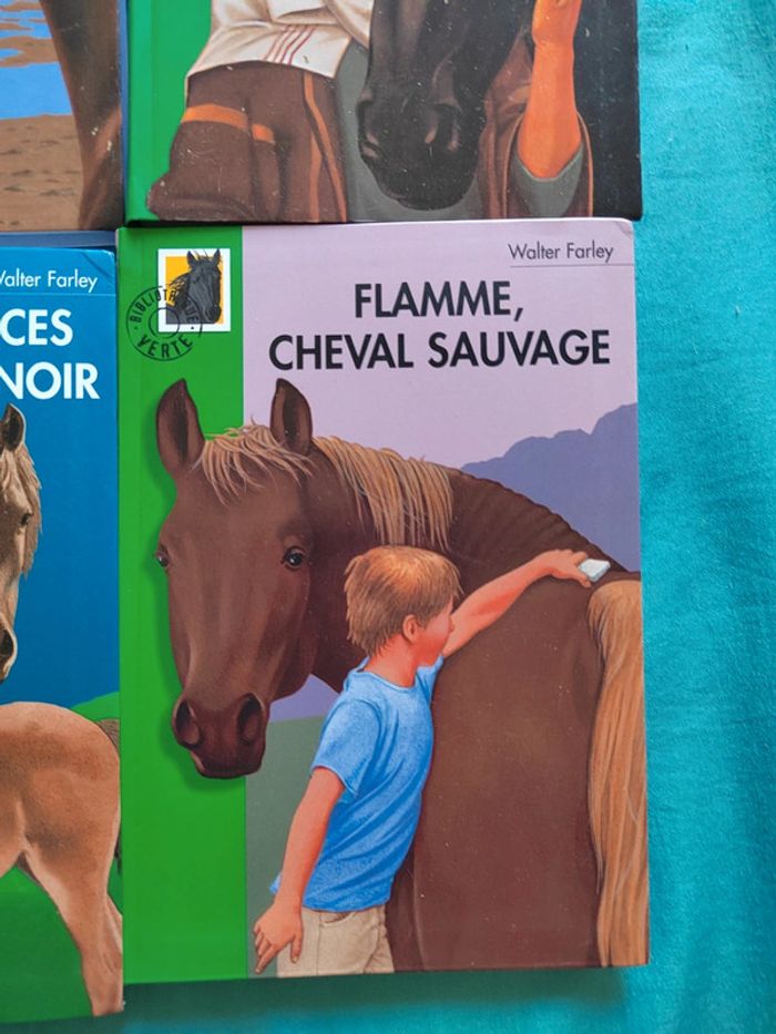 Lot de 7 livres l'étalon noir - photo numéro 7
