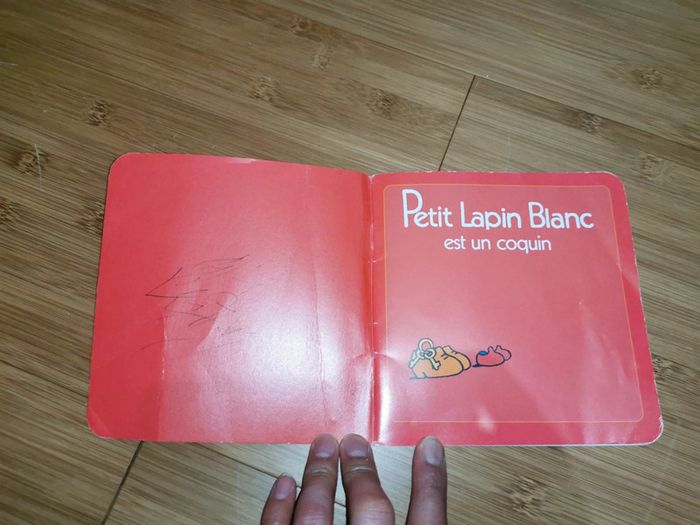 Petit Lapin Blanc est un coquin - photo numéro 2