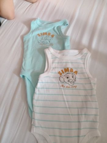 2 Bodies roi lion 3 mois