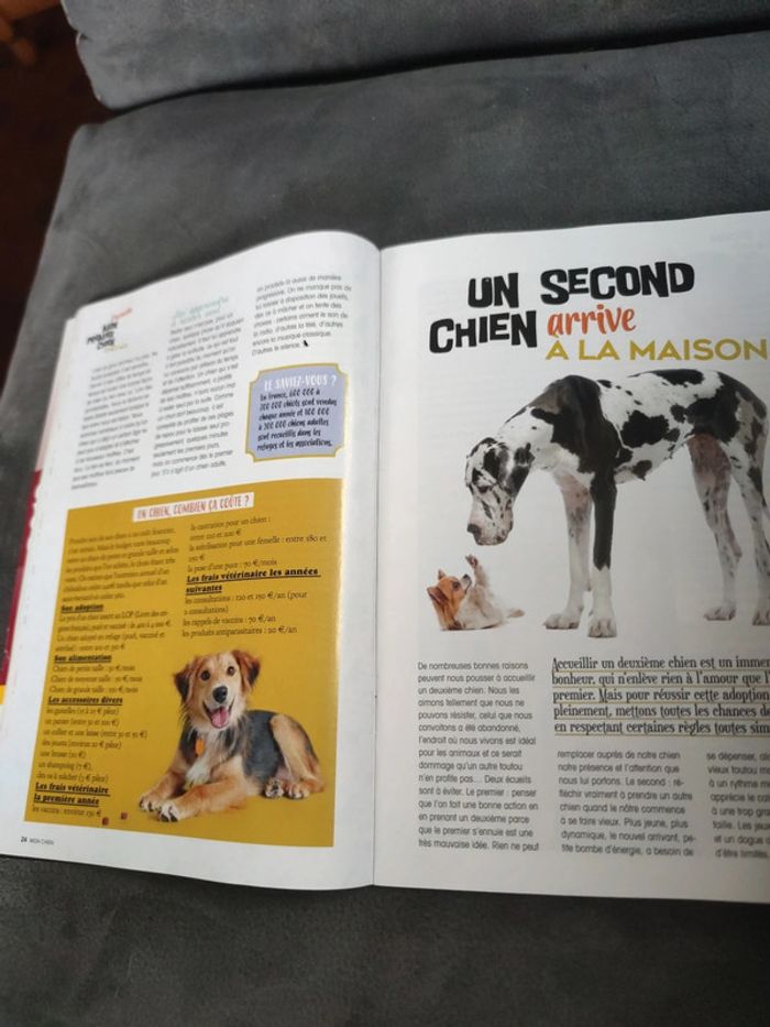 Hors série natur'elle Mon chien numéro 5 février mars 2019 - photo numéro 7