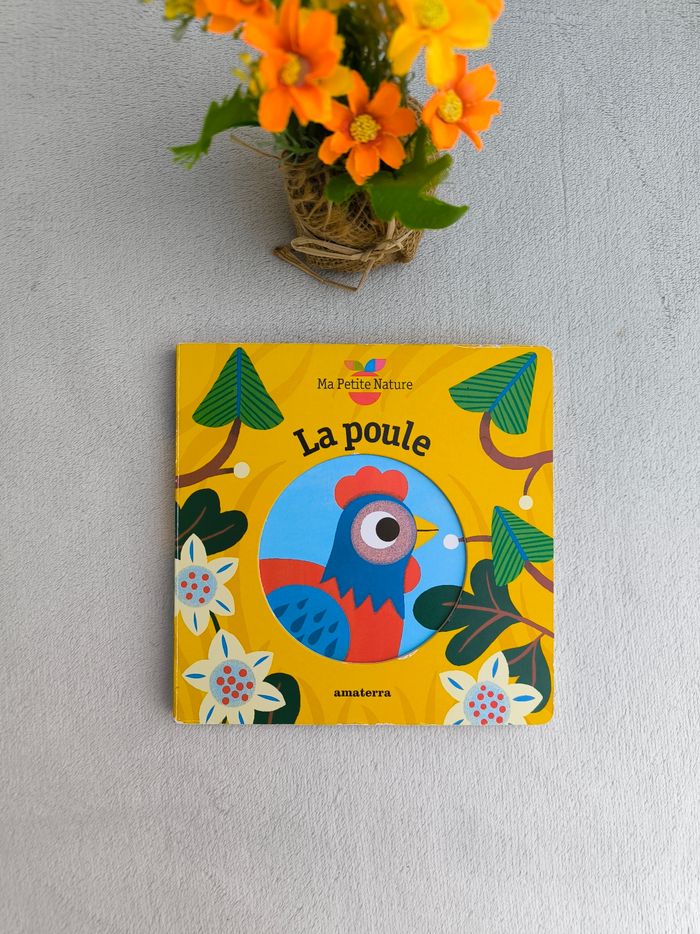 Livre La poule Amaterra