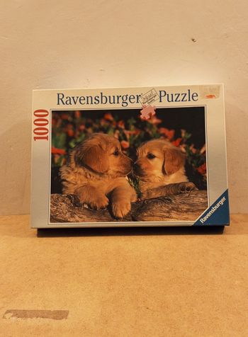 Puzzle 1000p Duo de chiots