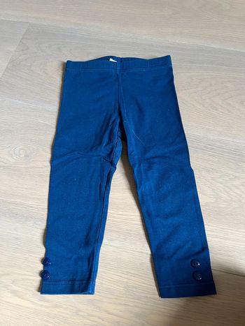 Leggings ansorba 12m