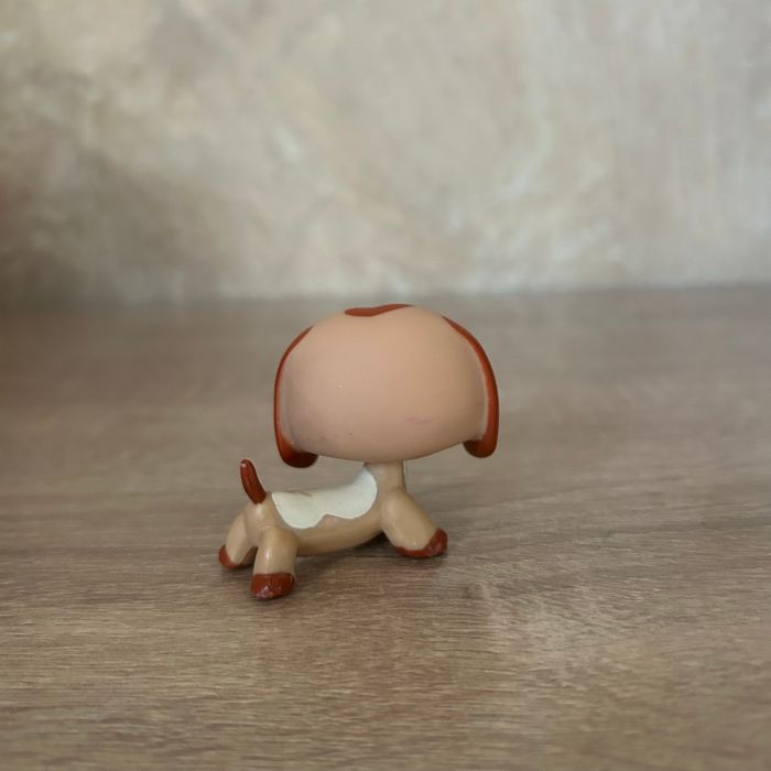 Petshop Teckel #2035 - photo numéro 2