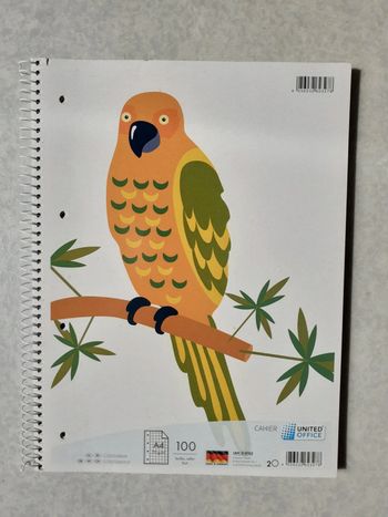 Cahier A4