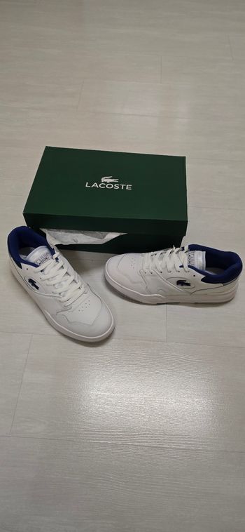 Basket lacoste 
