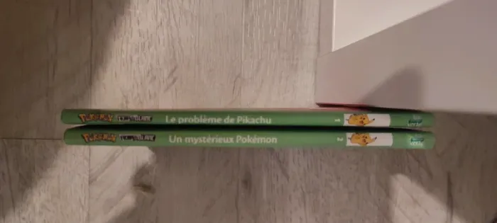 Livre pokémon - photo numéro 2