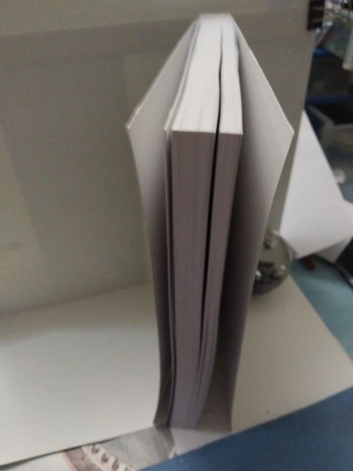 L'anglais qui voulait nettoyer la France - photo numéro 3