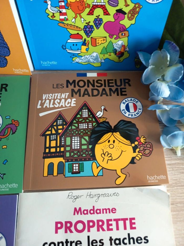 Lot 5 livres Monsieur Madame – Balade en France (+1 offert) - photo numéro 5