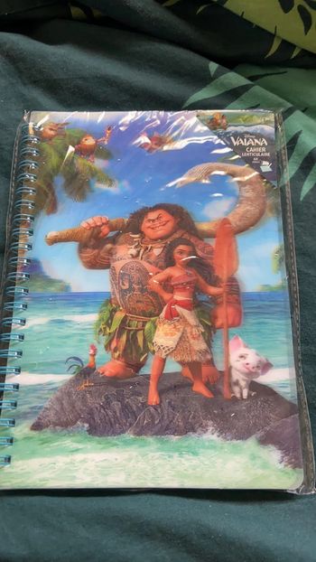 Cahier dîsney