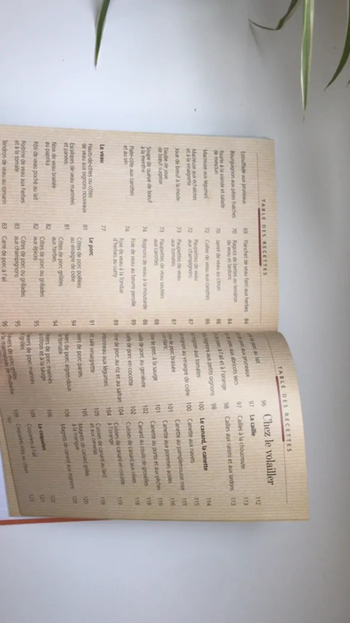 Guide cuisine de tous les jours - photo numéro 7