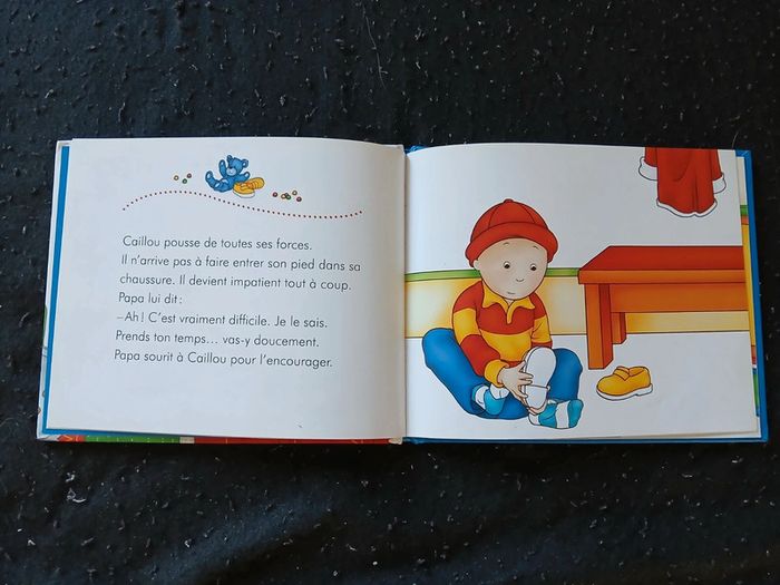 Lot de 2 livres caillou - photo numéro 4