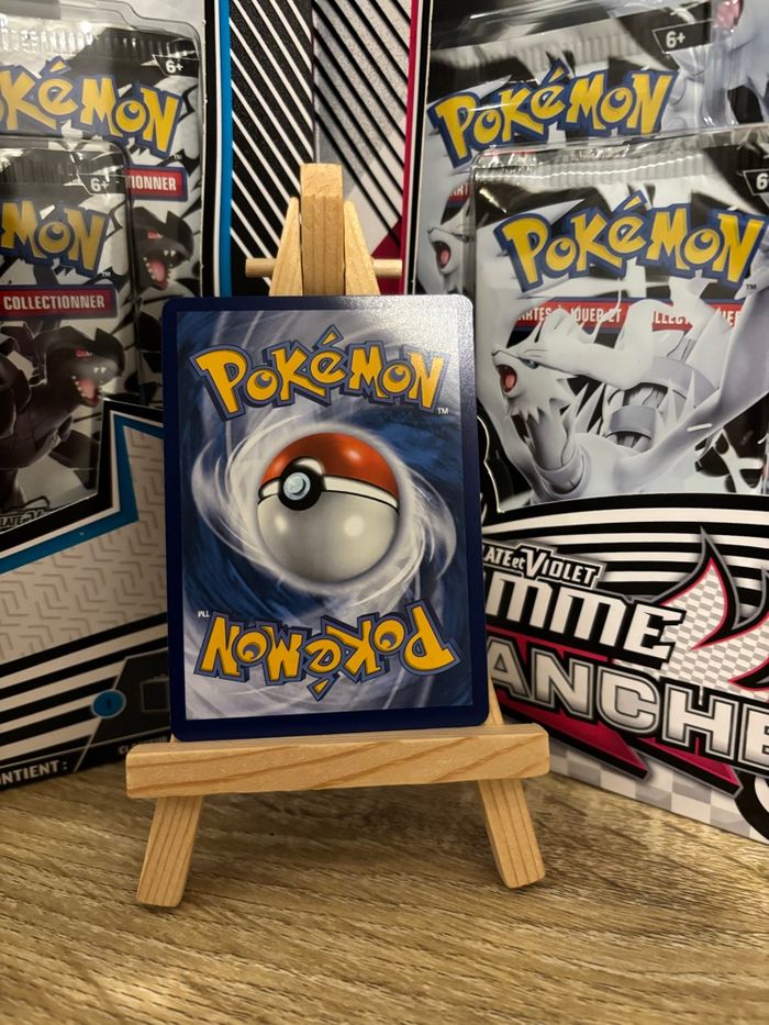 Volcanion Ex - photo numéro 2