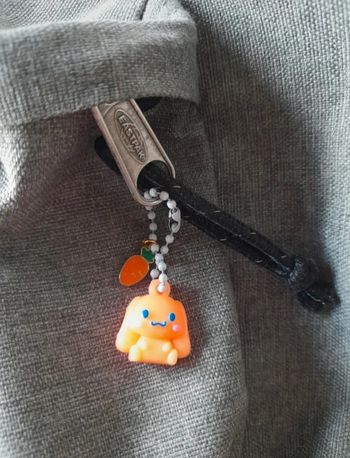 Cinnamoroll orange fluo et carotte