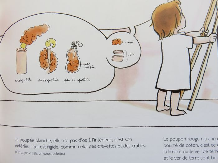 Album 7 à 9 ans : Comment fabriquer son grand frère Un livre d'anatomie et de bricolage. (L'école d - photo numéro 8