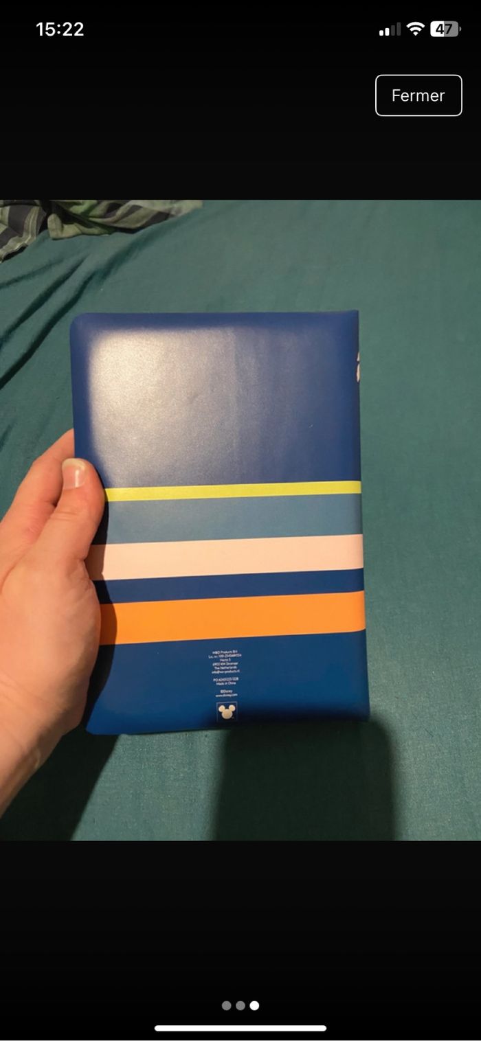 Cahier de note roi lion - photo numéro 3