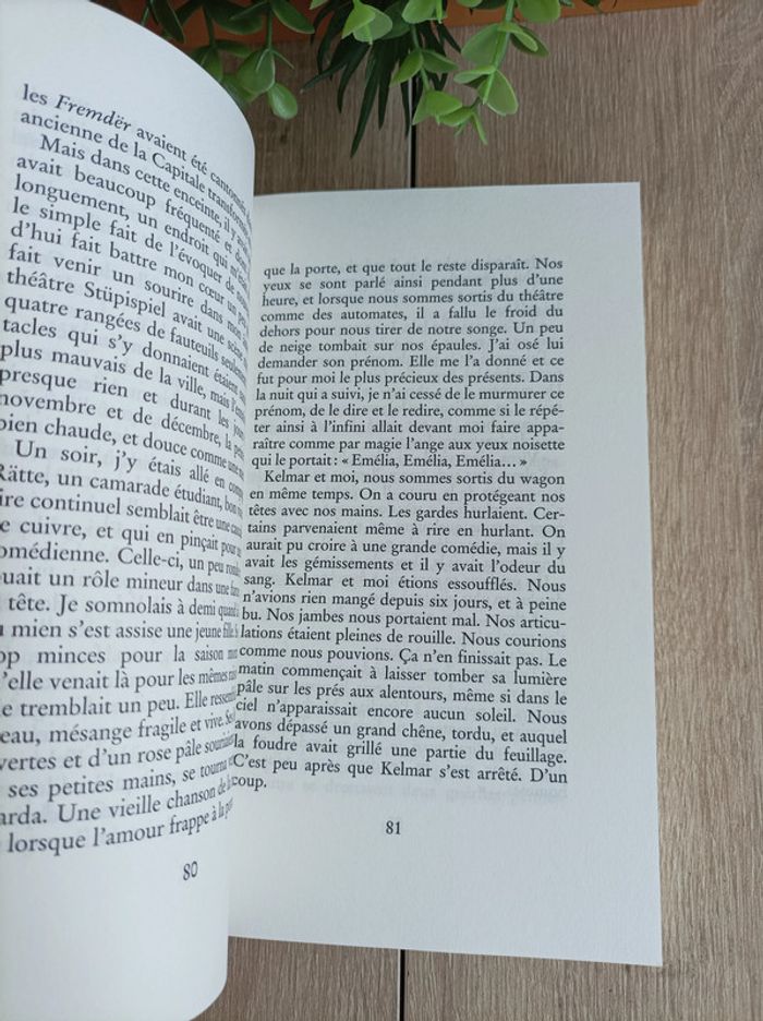 Livre le rapport de brodeck - photo numéro 2