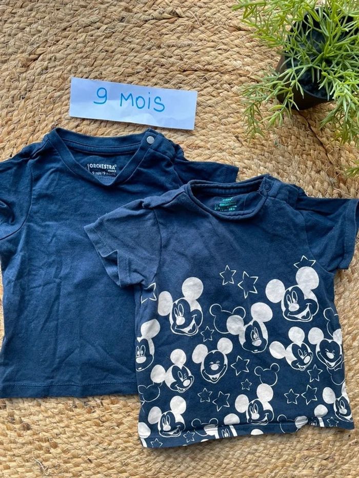 Lot 2 tee-shirts 9 mois